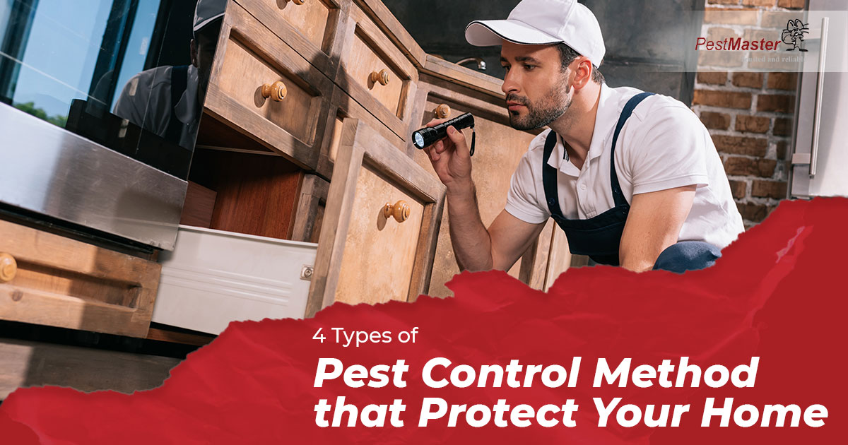 4 Types of Pest Control Methods for Your Home - Pestmaster Malaysia
