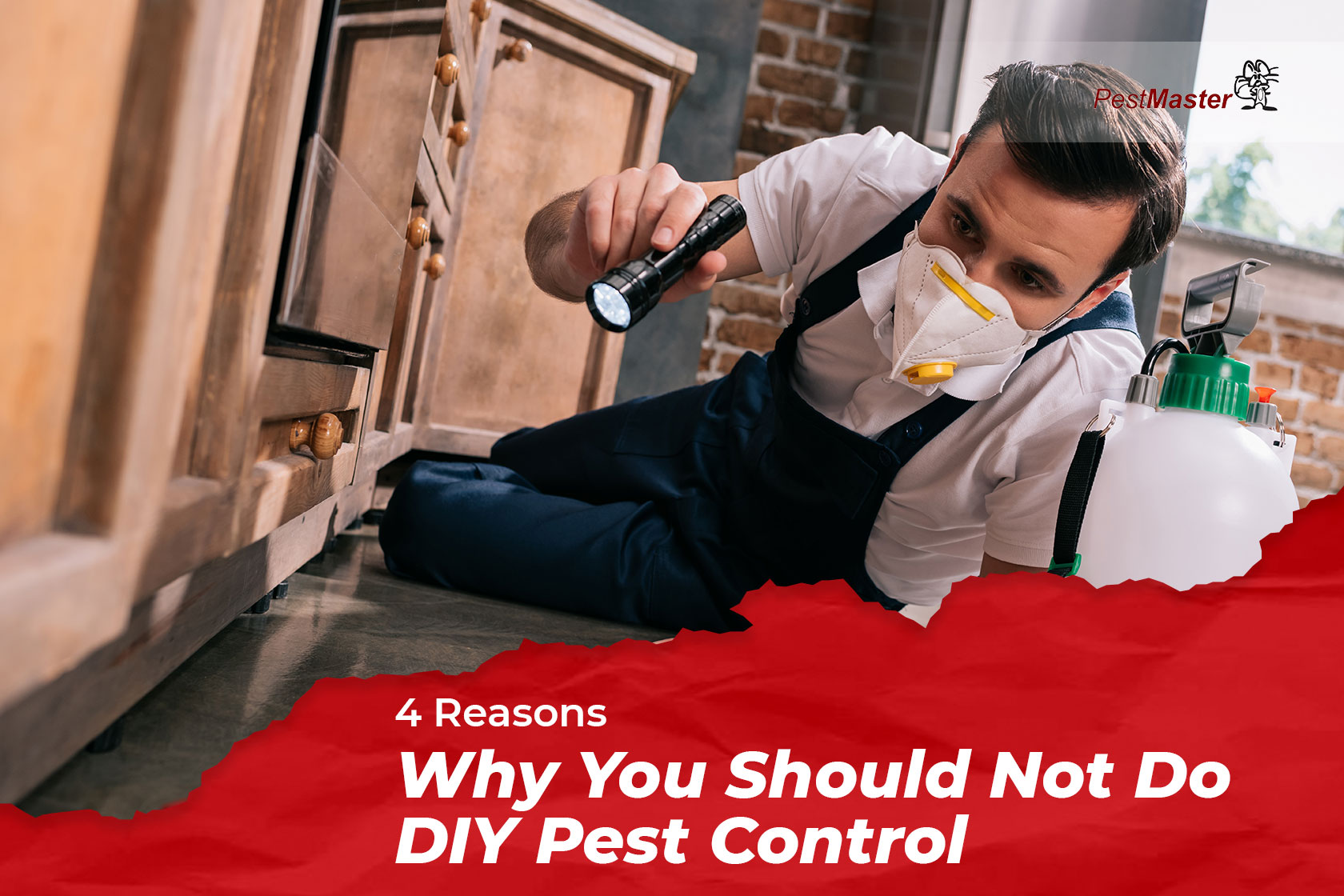 4-reasons-why-you-should-not-do-diy-pest-control