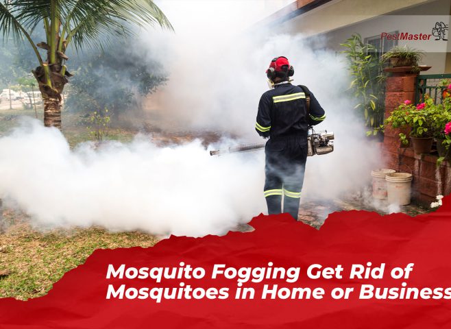 mosquito-fogging-get-rid-of-mosquitoes-in-home-or-business