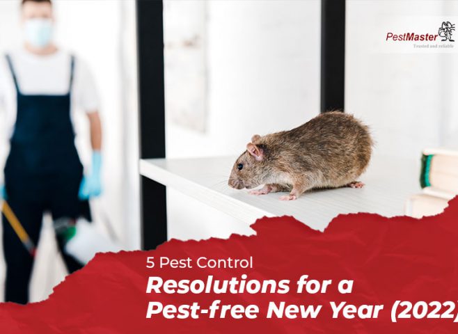 header-5-pest-control-resolutions-for-a-pest-free-new-year-(2022)