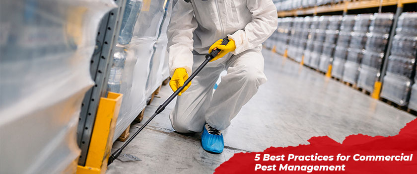5 Best Practices for Commercial Pest Management