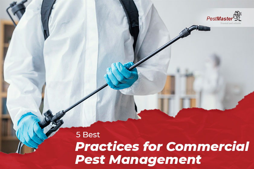 5 Best Practices for Commercial Pest Management
