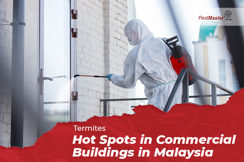 Termites Hot Spots in Commercial Buildings in Malaysia