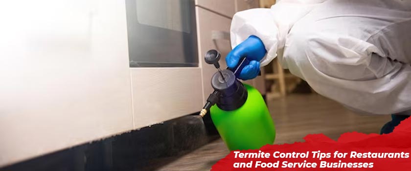 Termite Control Tips for Restaurants and Food Service Businesses