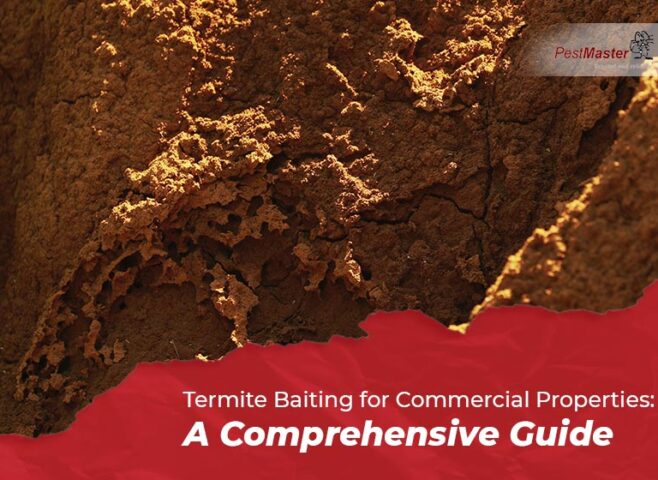 Termite Baiting for Commercial Properties: A Comprehensive Guide