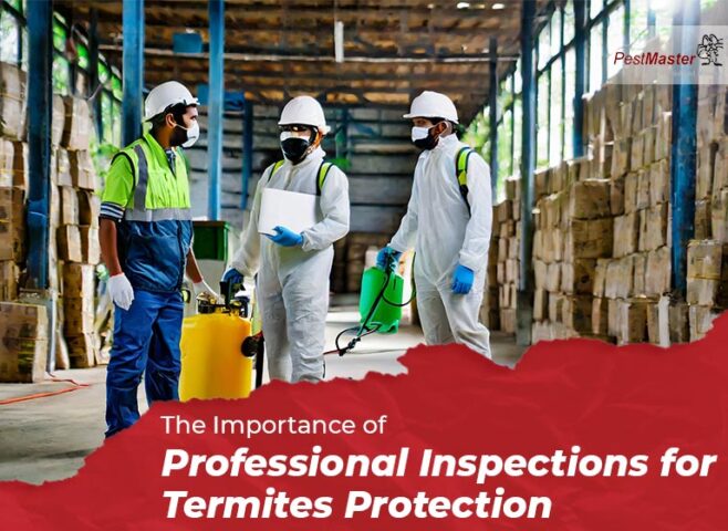 The Importance of Professional Inspections for Termites Protection
