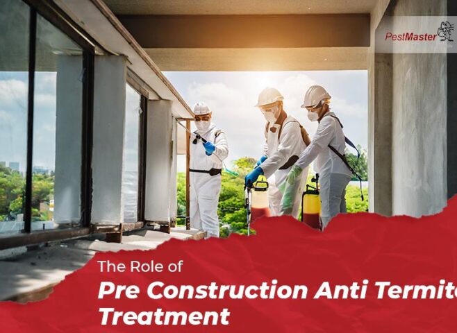 The Role of Pre Construction Anti Termite Treatment