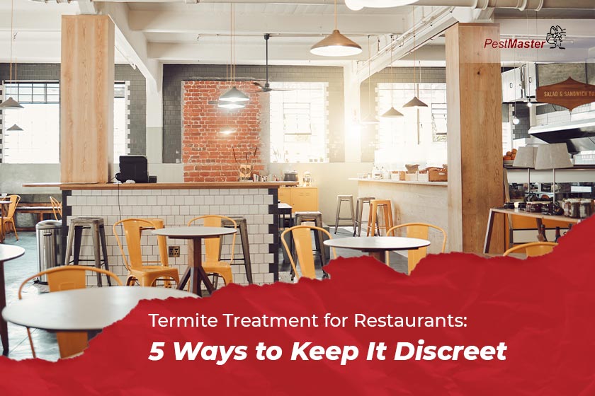 Termite Treatment for Restaurants: 5 Ways to Keep It Discreet
